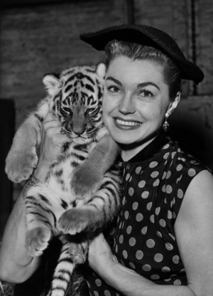Esther Williams with a young tiger named “Esther”, London, 1956 (photo)