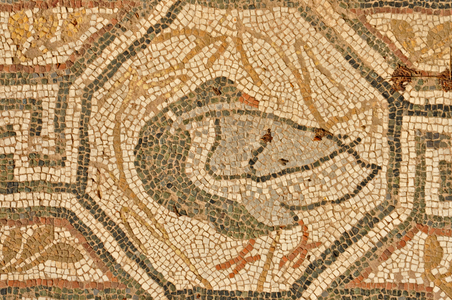 Heraclea Lyncestis archaeological site, mosaic detail in the Great Basilica, a duck, Bitola, Macedonia, Europe