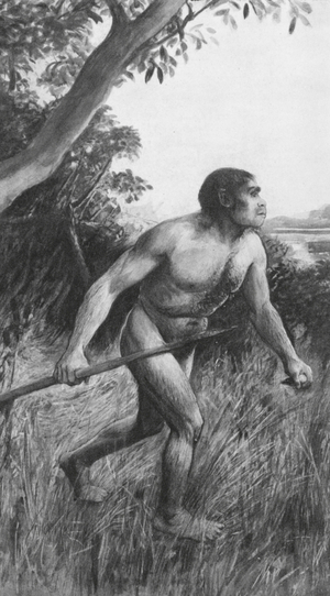 Piltdown Man (Eoanthropus Dawsoni) (b/w photo)