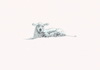 Gentle Spirit VI, 2022, (pencil drawing)
