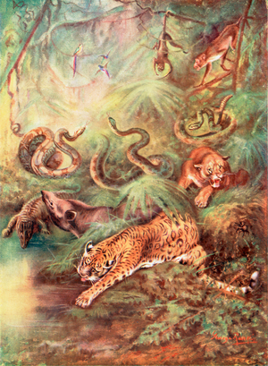 The great Brazilian forest and its zoo (colour litho)