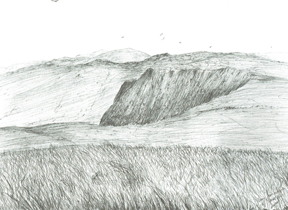 Slopes of Hartfell, 2003 (ink on paper)