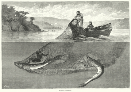La peche a l'esturgeon (engraving)