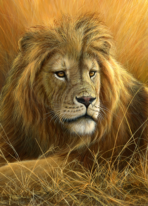 Lion portrait, 2013, acrylic on board