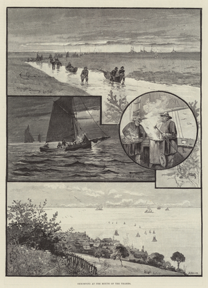 Shrimping at the Mouth of the Thames (engraving)
