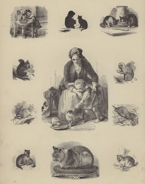 Pets (engraving)