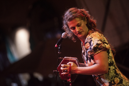 Carpino Folk Festival, 2014 (photo)