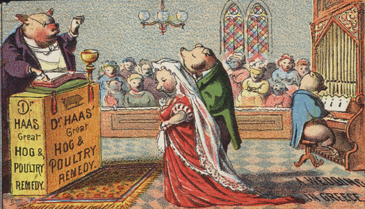 Hogs Getting Married (chromolitho)