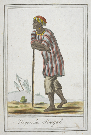 Negre du Sénégal.
Negro of Senegal.