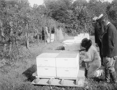 Bee Storage 1919 (photo)