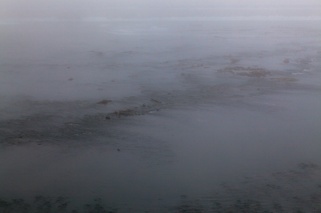 River in the fog with rock outcrop and vegetation, 2015 (photo)