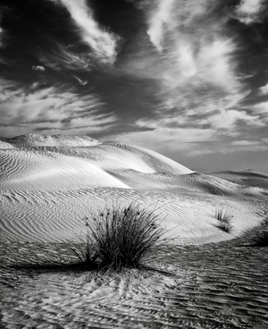 Unfolding Stillness, 2021 (photo)