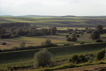 Meadows near Marching, Bavaria (photo)