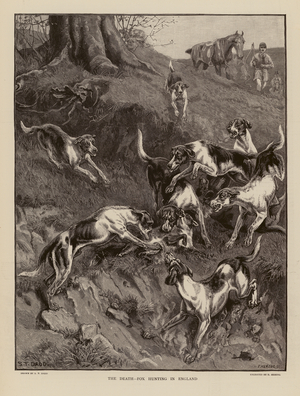 The death, fox hunting in England (engraving)