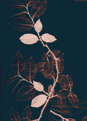 Freyr VII Dark Copper, 2018 (digital)