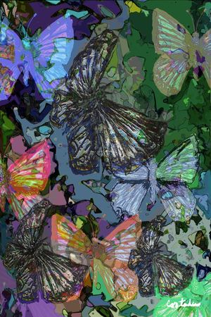 (Florida is...) Butterflies