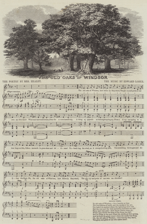 The Old Oaks of Windsor (engraving)