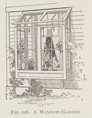 A Window-Garden (litho)
