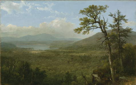 Adirondack Mountains, N.Y., 1870 (oil on canvas)