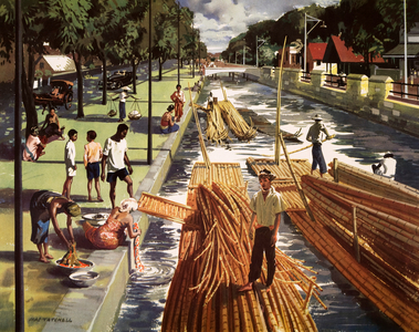 Cane and bamboo in Java (colour litho)
