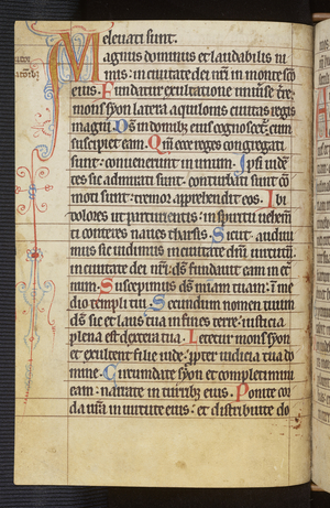 Psalter (Hildesheim), 13th century (manuscript)
