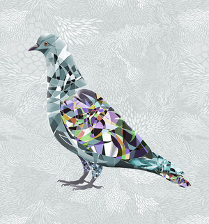 Pigeon, 2017 (digital print)