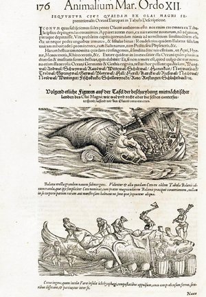 Medici Tigurini Historiae animalium