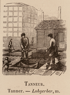 Le Vocabulaire Illustre: Tanneur; Tanner; Lohgerber (engraving)
