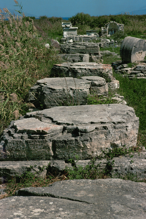 Row of bases of columns in the Heraion, sancturay of the goddess Hera