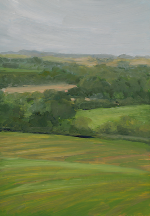 Rain, Cornbury Park, Cotswolds (Oil on panel)