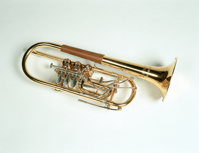 Rotary - valved trumpet