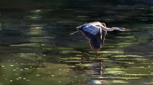 Flying Low, 1999 (w/c on paper)