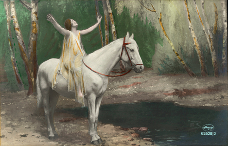 Woman bareback riding a white horse (coloured photo)