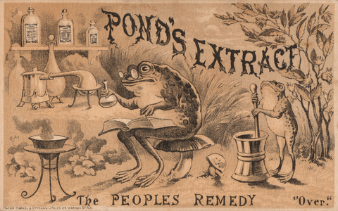 Frogs preparing medicines, advertisement for Pond's Extract (chromolitho)