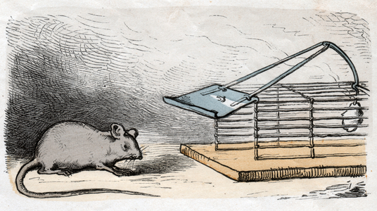 Science. Zoology. The mouses and the mouse trap (detail). Imagery "Munchener Bilderbogen", Germany, c.1900 (colour engraving)