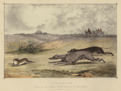Coursing (colour litho)