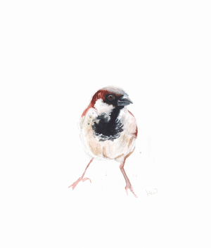 Male Sparrow I, 2022, (watercolour painting)