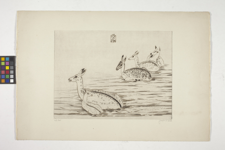 Cerfs Indochinois I (Indochinese Deer I) (engraving on cream wove paper)