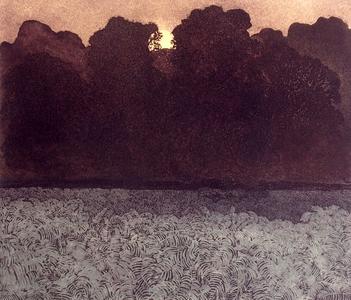 Wood Light, 1973 (etching and aquatint)