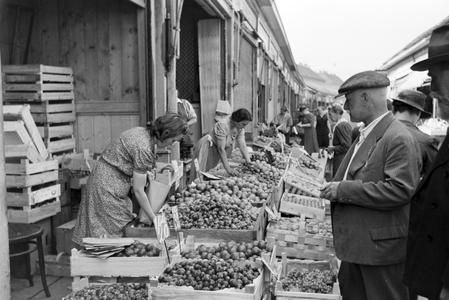 A trip to Vienna, Germany 1930s (b/w photo)