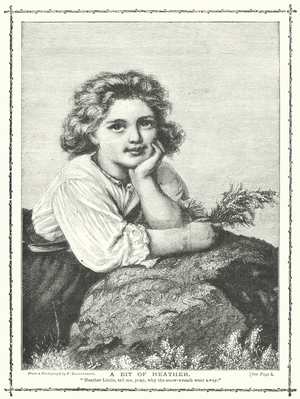 A Bit of Heather (engraving)