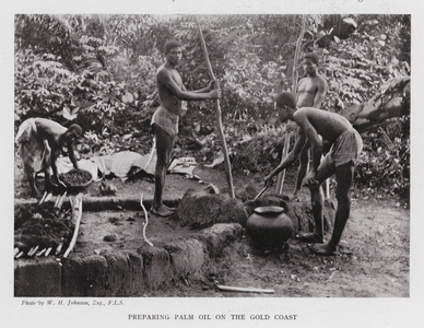 Preparing Palm Oil on the Gold Coast (b/w photo)