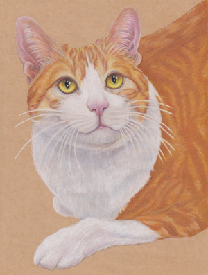Dax, c.2024 (colored pencil on tan art paper)