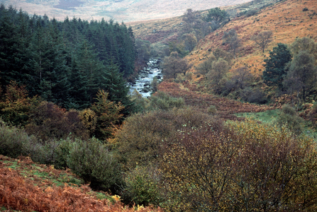 Source of the River Liffey, Wicklow Mountains, referred to by James Joyce in 'Finnegans Wake', Ireland (photo)