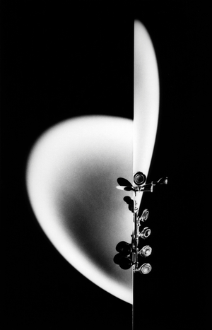 Artistic image of flute keys.