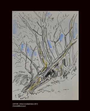 22915N - Tree a Babiniere-2013 (drawing)