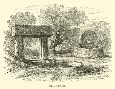 Olive-press (engraving)