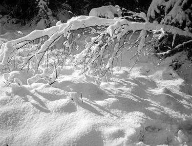 Wintertime landscape at East Prussia, 1930s (b/w photo)