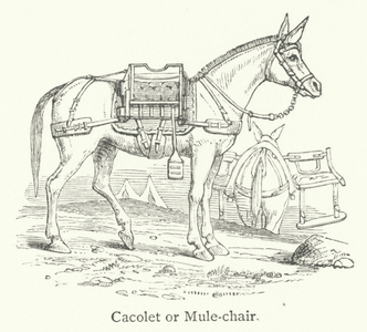 Cacolet or Mule-chair (engraving)