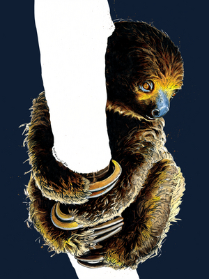 Talita The Sloth on Midnight Blue, 2020, (pen and ink)